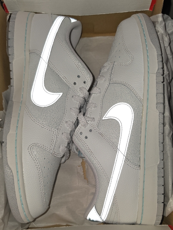 Nike Other - Nike Dunk Low Retro SE in Summit White and Metallic Silver